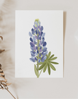 Grußkarte Blume Lupinen
