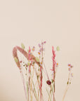Trockenblumen Set Soft Bloom