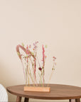Trockenblumen Set Soft Bloom