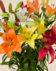 Lilienstrauß Mix Bunt