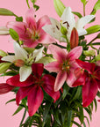 Nahaufnahme des Lilienstrausses in Rosa, Rot und Weiss