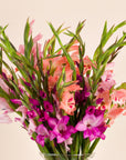 Gladiolenstrauß