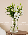 Weisser Lilienstrauss, Knospe und volle Bluete im Vergleich