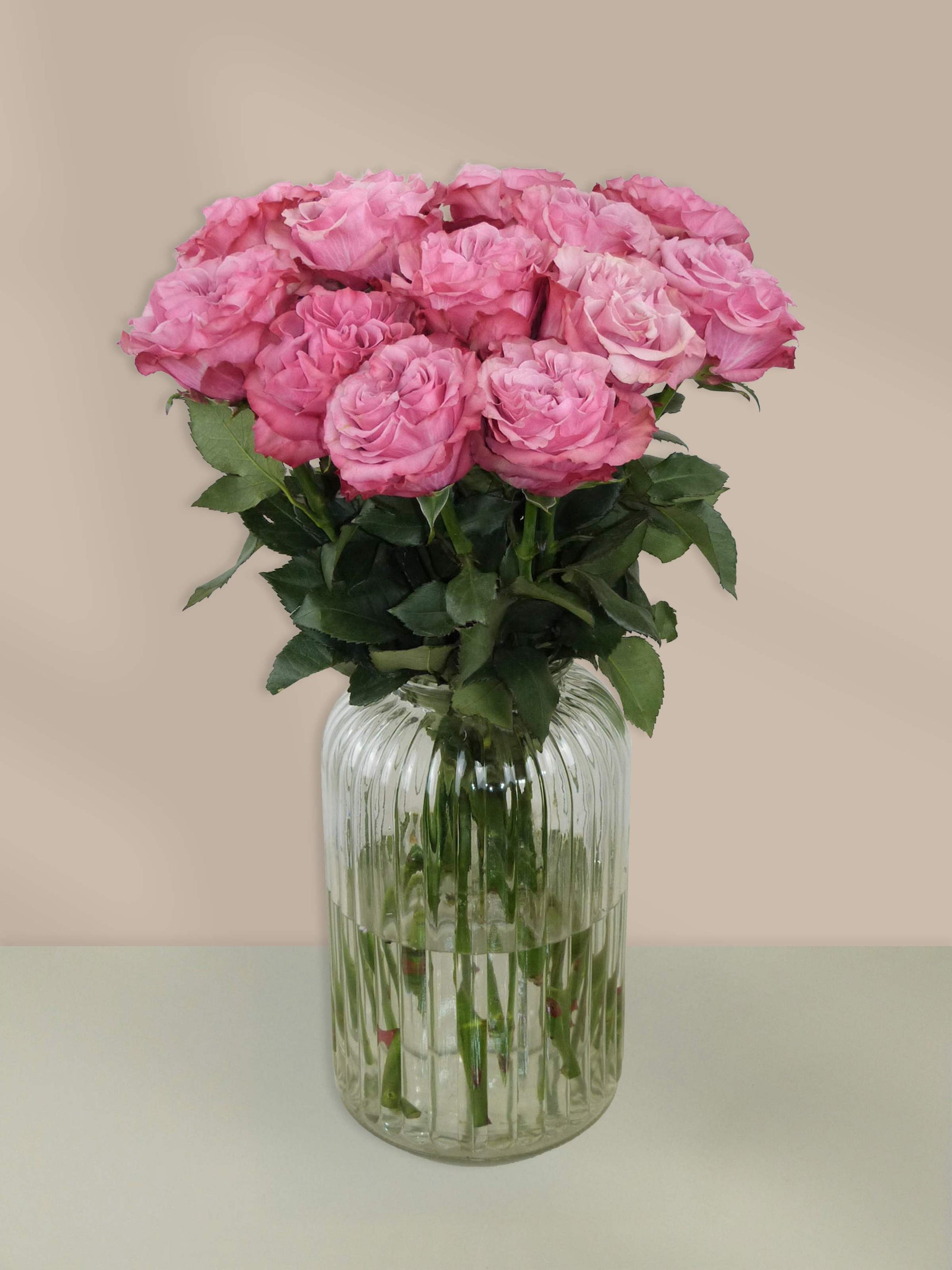 Rosenstrauß in zartem Pink – Edle Rosen online kaufen und in ganz Österreich liefern lassen