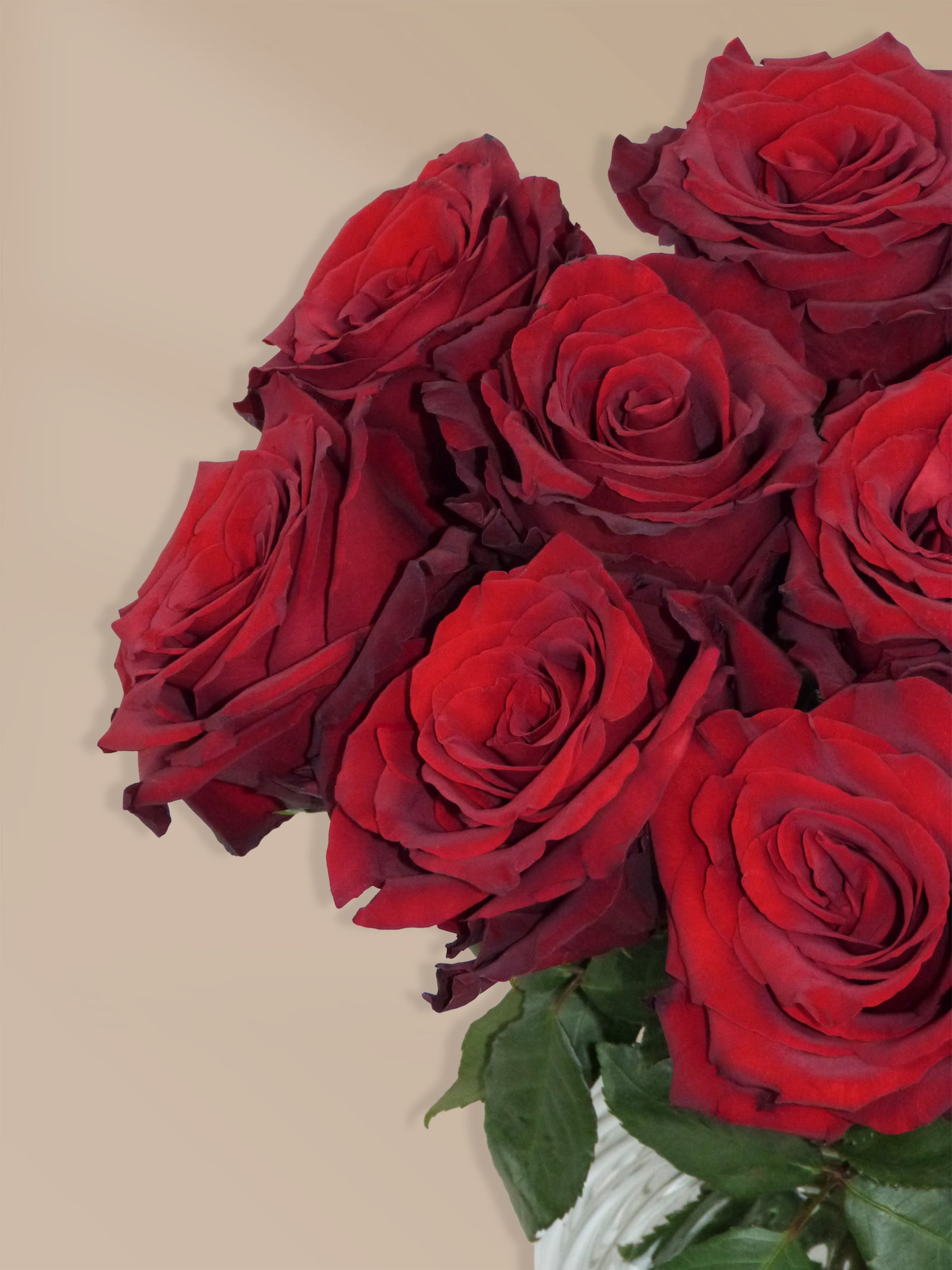 Detailaufnahme roter Rosen – Romantische Blumen verschenken