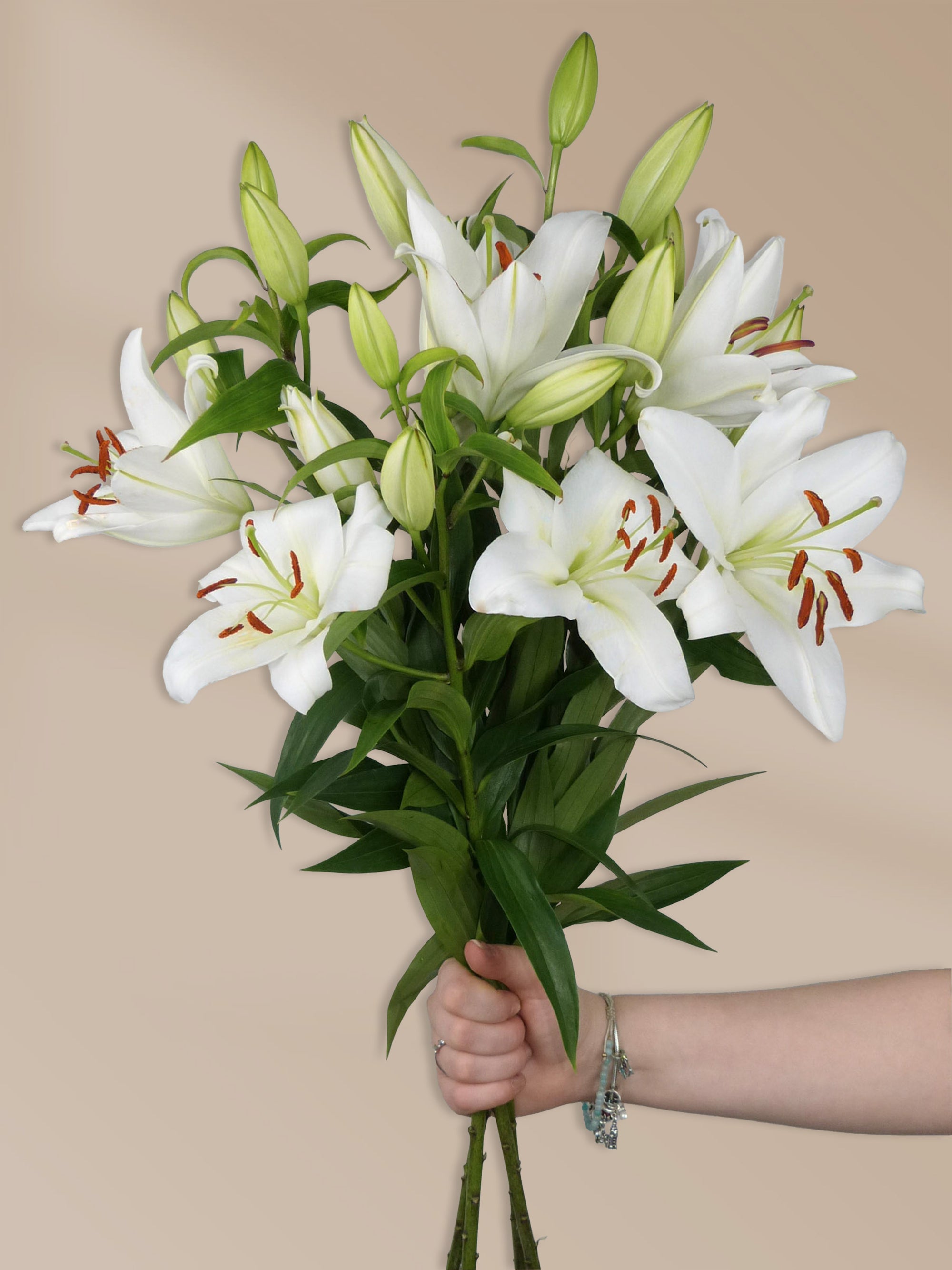 Weißer Lilienstrauß – Elegante Blumen online bestellen und in Österreich liefern lassen