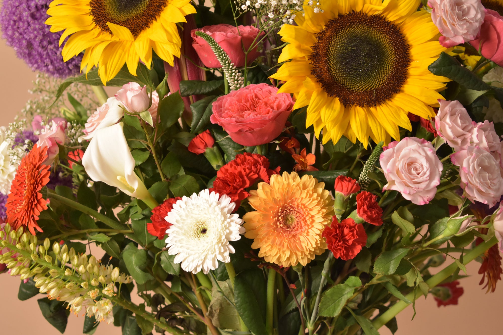 Was tun, damit Blumen bei Hitze länger halten?