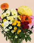 Chrysanthemumstrauß
