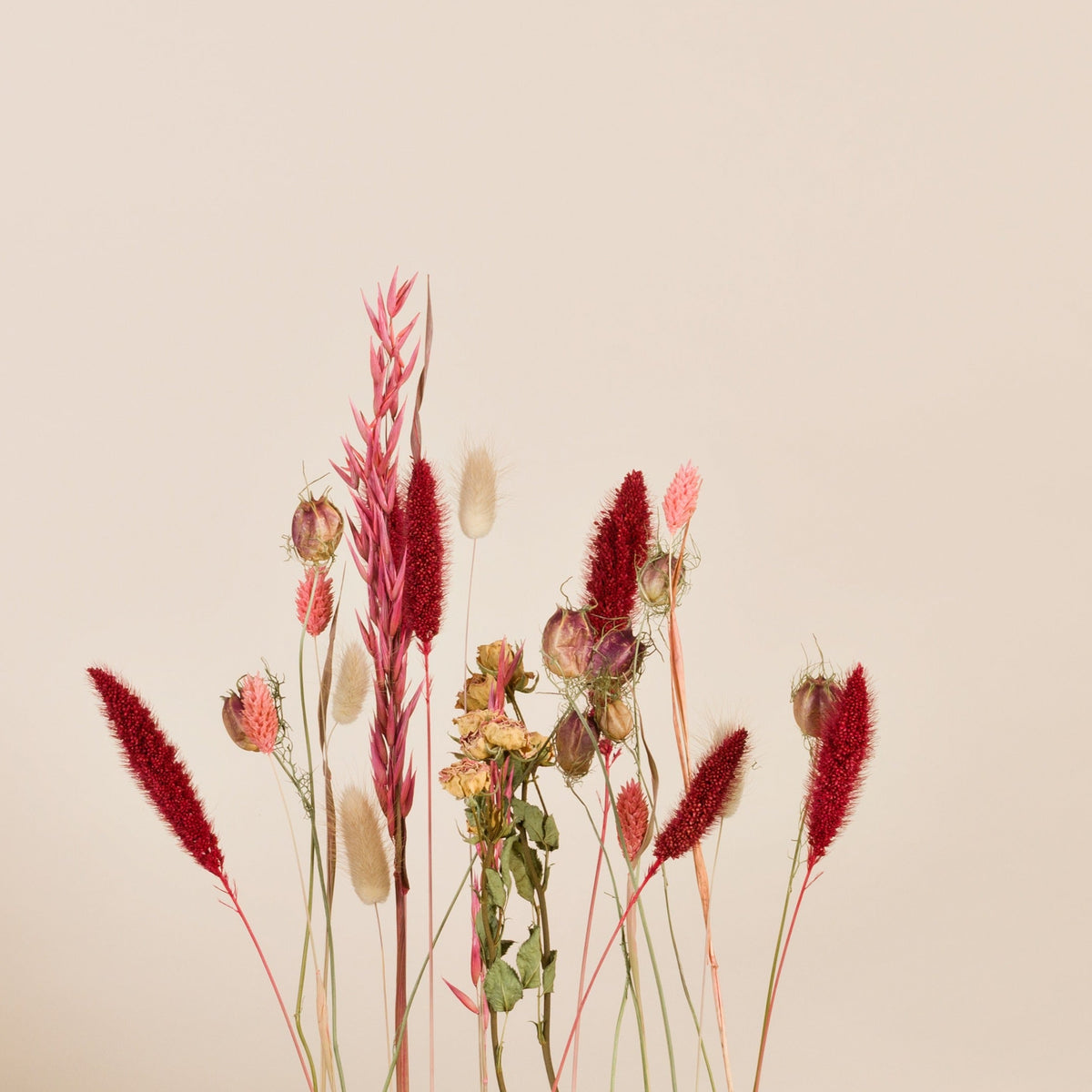 Trockenblumen Set Berry Bloom