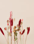 Trockenblumen Set Berry Bloom