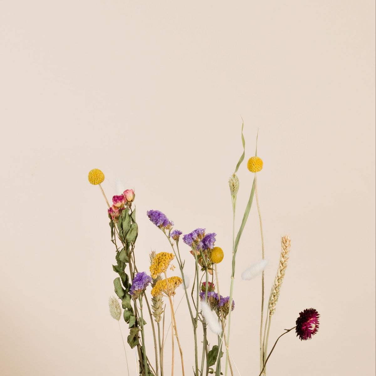 Trockenblumen Set Flower Field