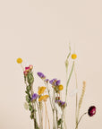 Trockenblumen Set Flower Field