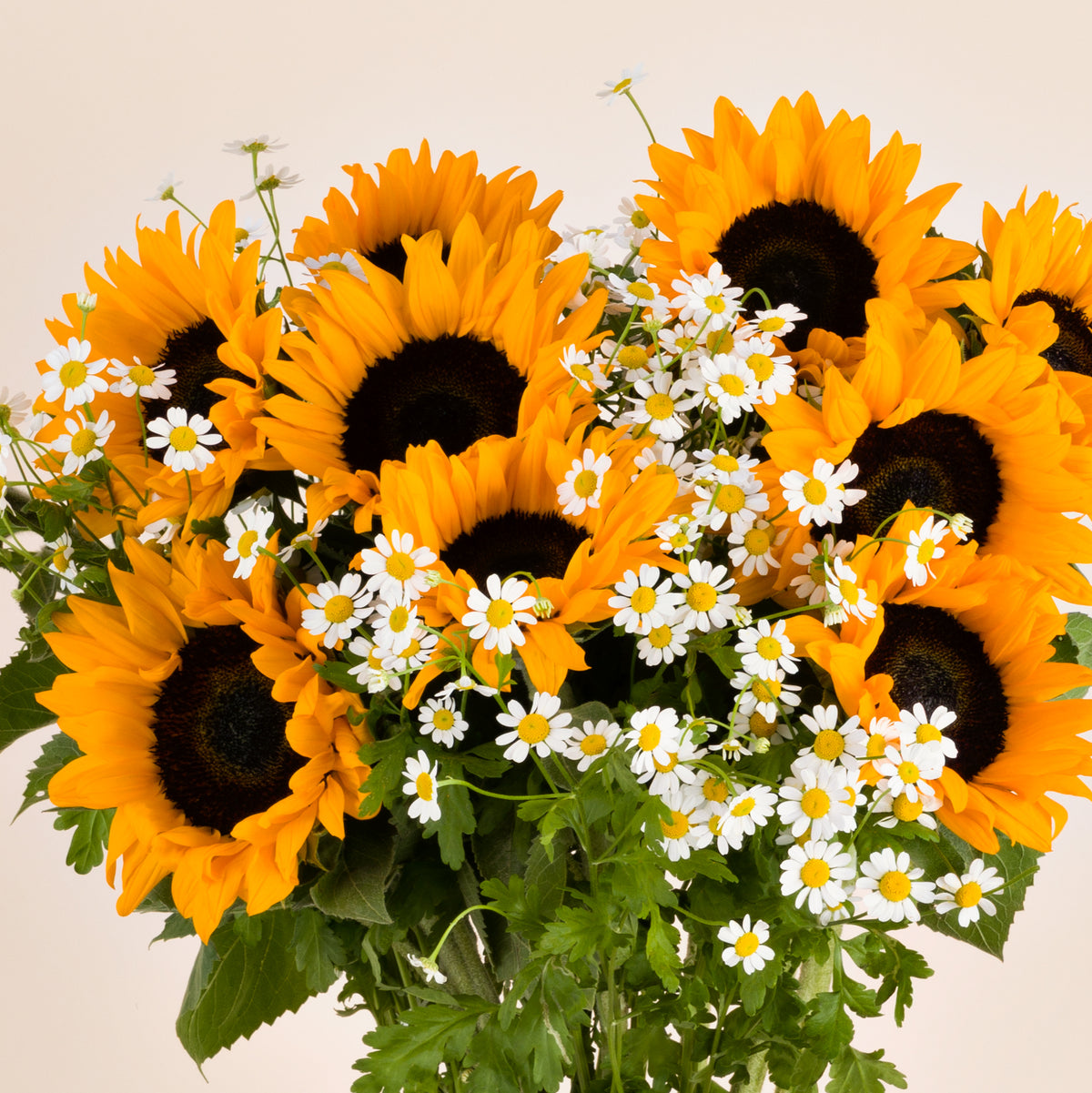 Sonnenblumenstrauß online kaufen