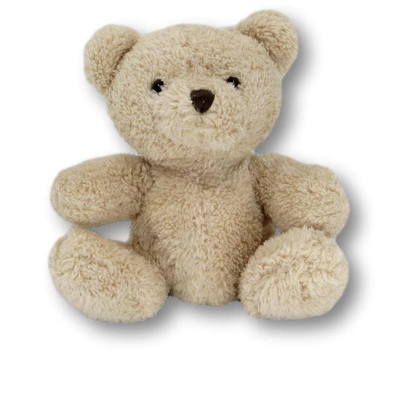 Kleiner Teddybär