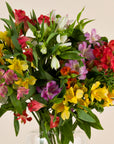 Blumenstrauß Alstroemeria bunter Mix