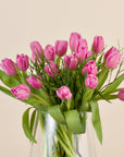 Nahaufnahme rosa Tulpen