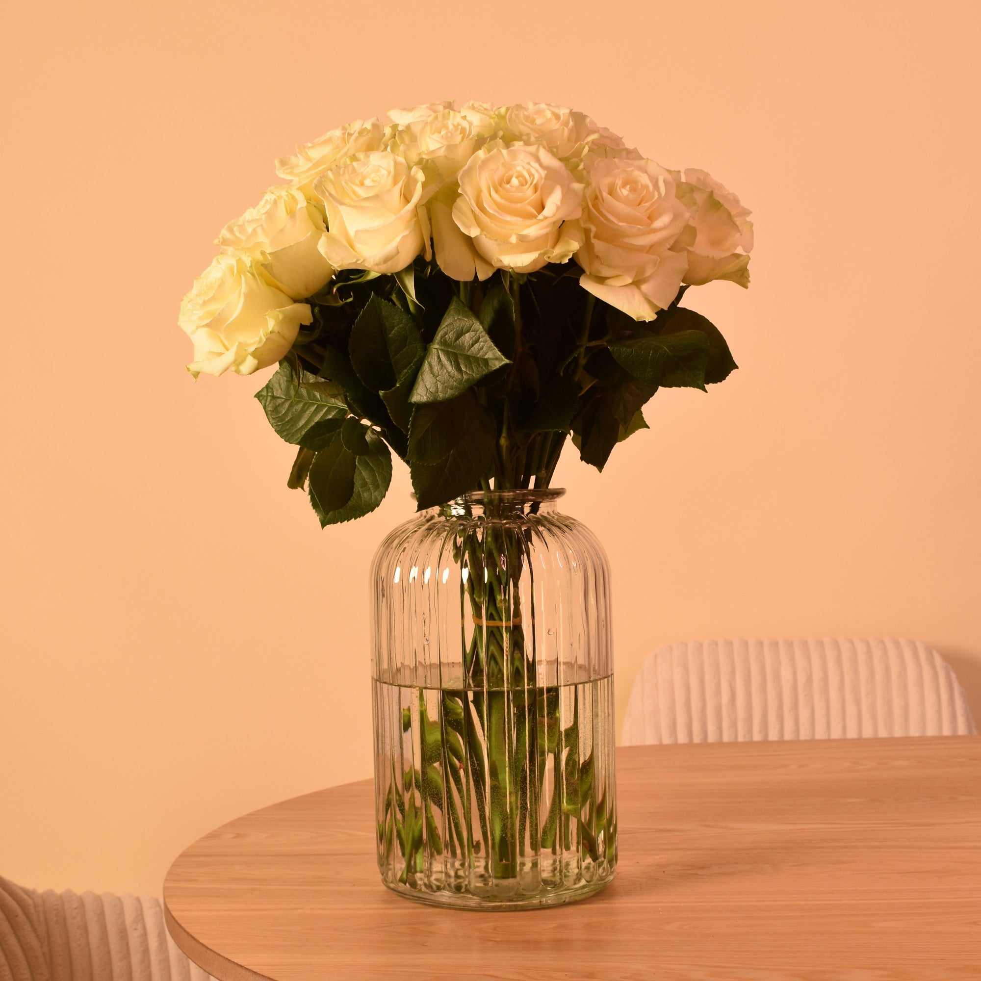 Weiße Rosen in voller Blüte