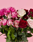 Nahaufnahme von Sprayrosen in Rosa und Rot